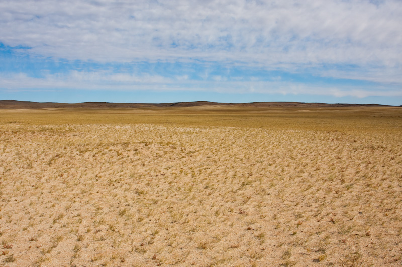 The Steppe